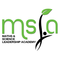 MATHS & SCIENCE LEADERSHIP ACADEMY NPC